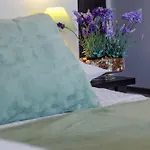 Homestay Goscinne Lawendowy Dwor