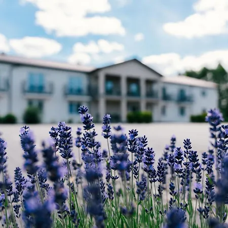 Goscinne Lawendowy Dwor בית אירוח מיקוז'בו