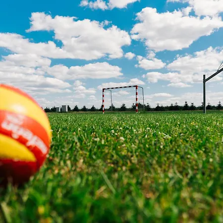 בית אירוח Goscinne Lawendowy Dwor מיקוז'בו