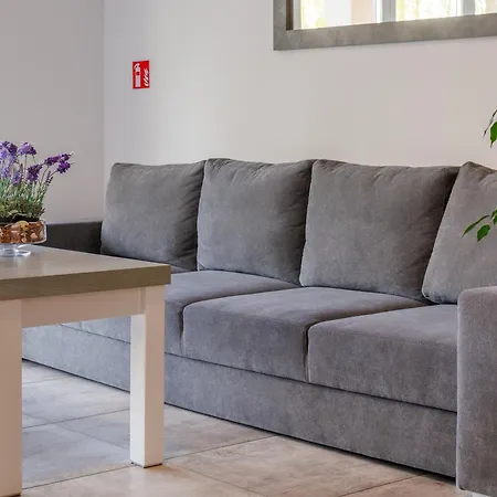 Goscinne Lawendowy Dwor * 米科泽沃