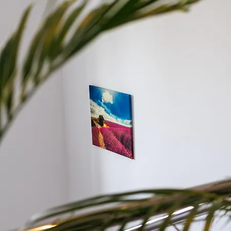 Goscinne Lawendowy Dwor