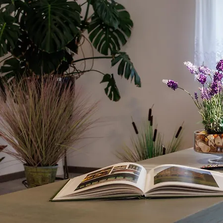 Gościnne Lawendowy Dwór Habitación en casa particular