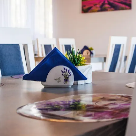 Goscinne Lawendowy Dwor מיקוז'בו