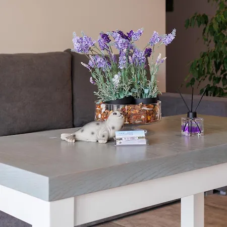 Goscinne Lawendowy Dwor