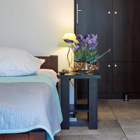 Goscinne Lawendowy Dwor בית אירוח