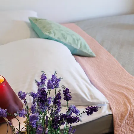 Goscinne Lawendowy Dwor מיקוז'בו