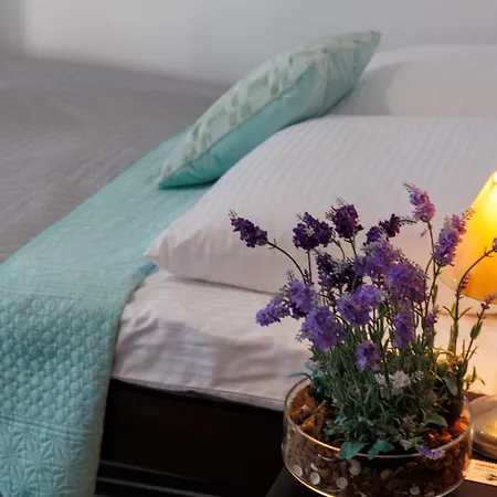 בית אירוח Goscinne Lawendowy Dwor מיקוז'בו