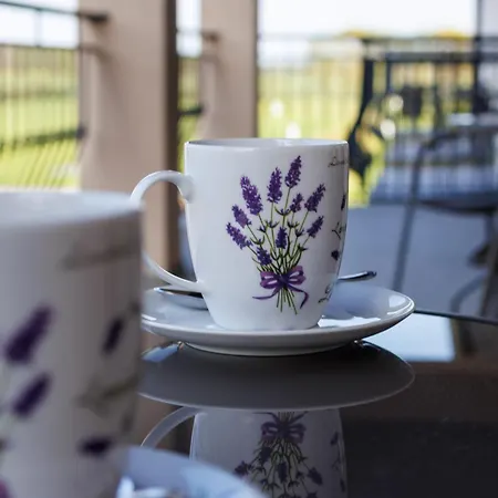 בית אירוח Goscinne Lawendowy Dwor