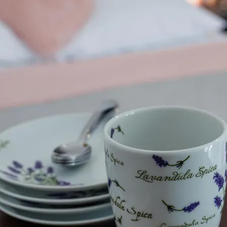 Goscinne Lawendowy Dwor בית אירוח