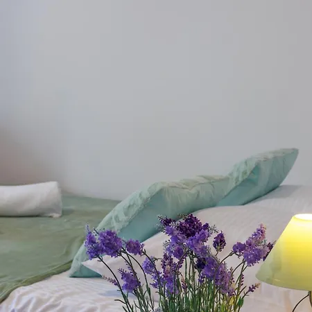 Habitación en casa particular Gościnne Lawendowy Dwór Mikoszewo