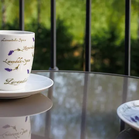 Goscinne Lawendowy Dwor בית אירוח מיקוז'בו