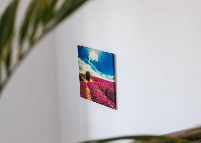 Goscinne Lawendowy Dwor