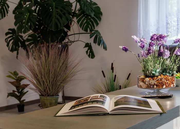 Goscinne Lawendowy Dwor 民宿