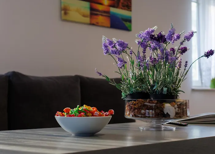 Goscinne Lawendowy Dwor * 米科泽沃