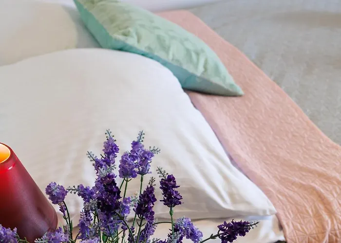 Goscinne Lawendowy Dwor 米科泽沃