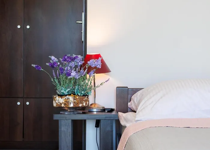 Goscinne Lawendowy Dwor 民宿