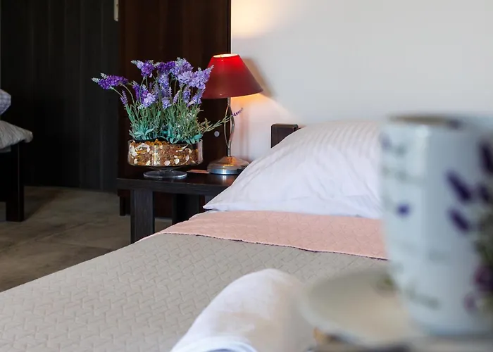 Goscinne Lawendowy Dwor 民宿 *