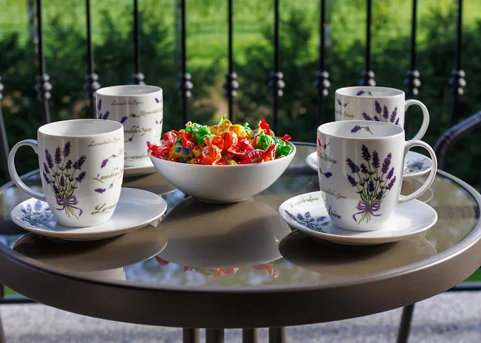 Goscinne Lawendowy Dwor 民宿 米科泽沃