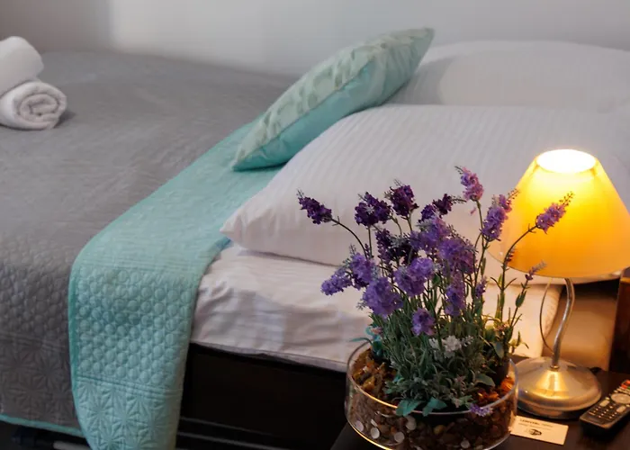 民宿 Goscinne Lawendowy Dwor 米科泽沃