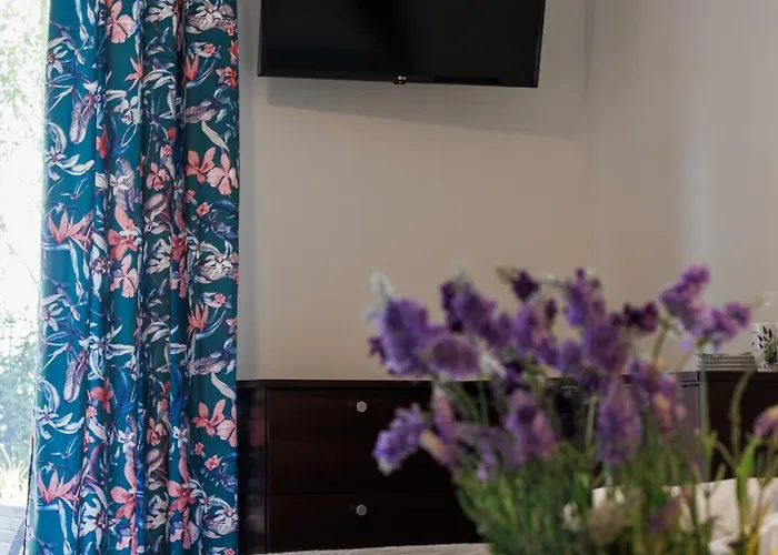 Goscinne Lawendowy Dwor * 米科泽沃