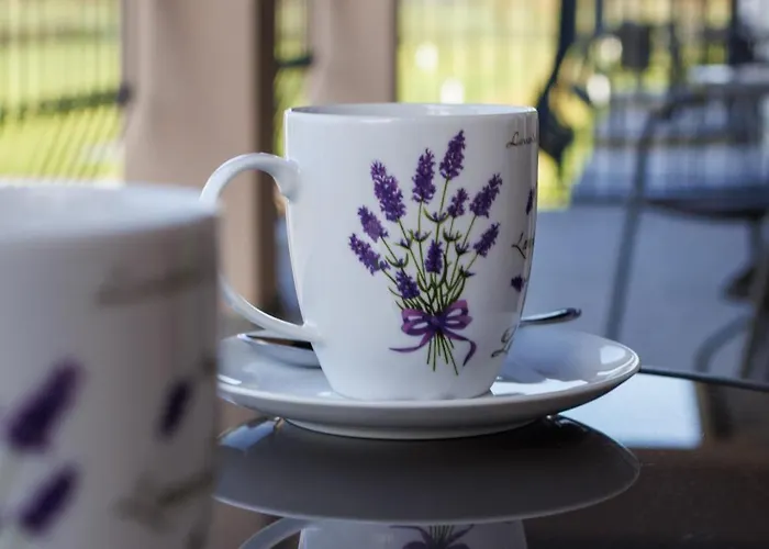 民宿 Goscinne Lawendowy Dwor