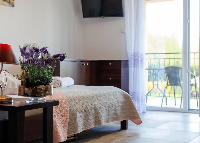 Goscinne Lawendowy Dwor 民宿 米科泽沃