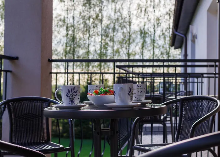 Goscinne Lawendowy Dwor 米科泽沃