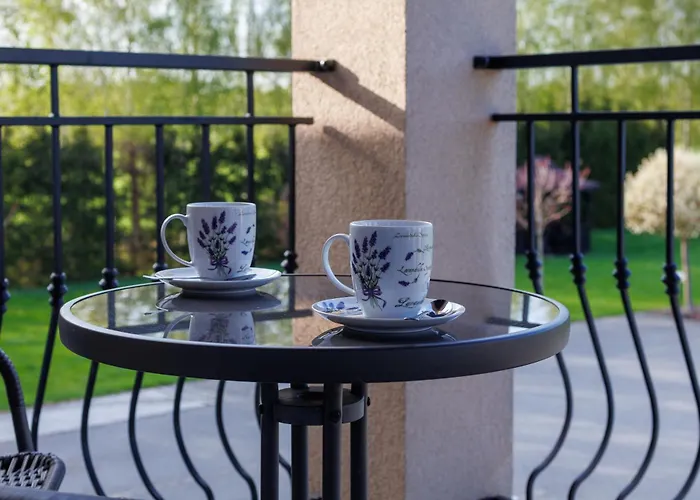 Goscinne Lawendowy Dwor 民宿