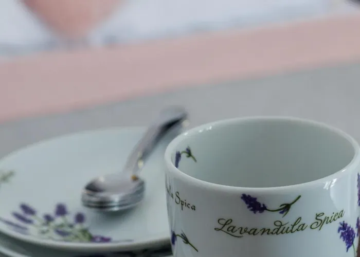 Goscinne Lawendowy Dwor 民宿