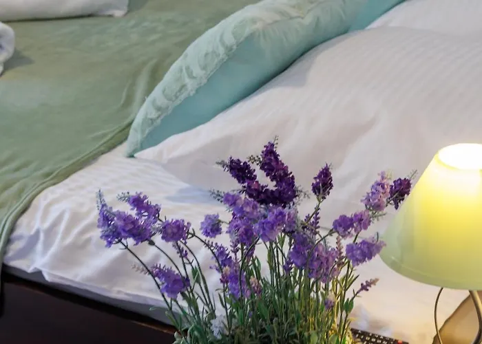 Goscinne Lawendowy Dwor