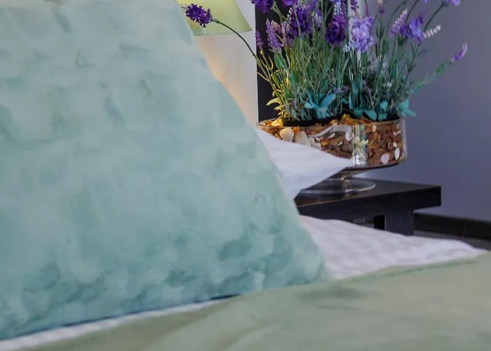 民宿 Goscinne Lawendowy Dwor